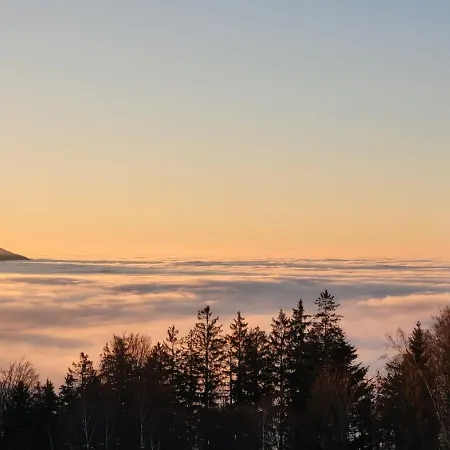 Waldliebe Апартаменты *
