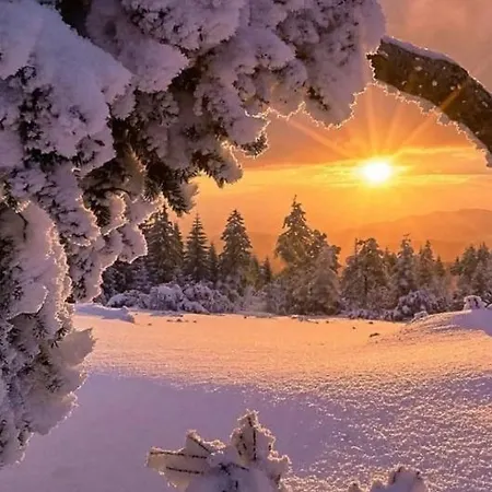 Апартаменты Waldliebe *